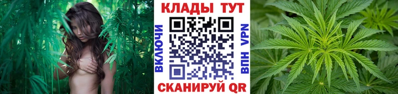 Где купить наркотики Пойковский Метамфетамин  Меф мяу мяу  АМФЕТАМИН  Галлюциногенные грибы  Канабис  КОКАИН  НБОМе  A PVP 