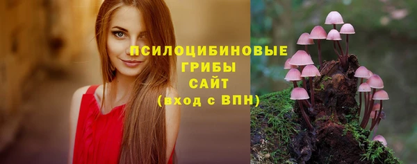 spice Белокуриха