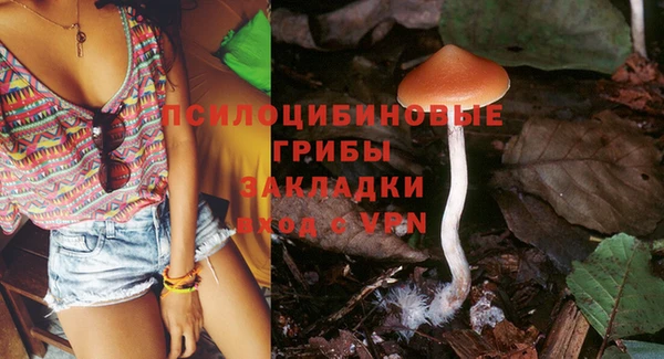 spice Белокуриха