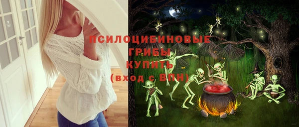 spice Белокуриха