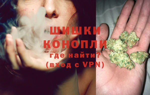 spice Белокуриха