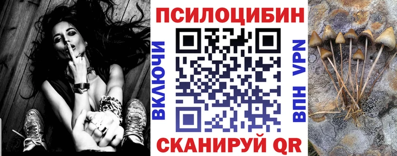 Псилоцибиновые грибы мицелий  Пойковский 